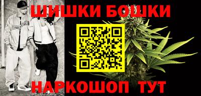 СК Донской
